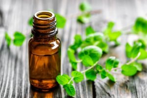 Homeopatía y plantas medicinales